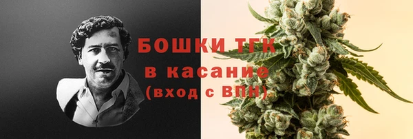 прущие крисы Абинск