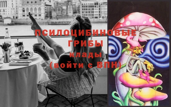 прущие крисы Абинск